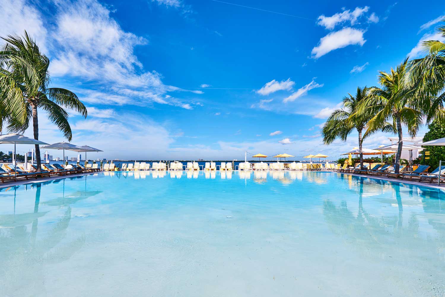 The Standard, Miami Beach Pool